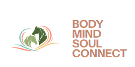 BodyMindSoulConnect